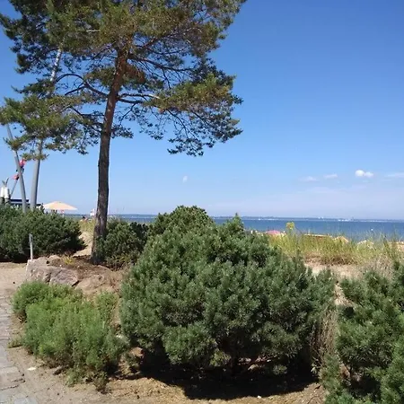 Baltic Sea Sweetheart * Häven