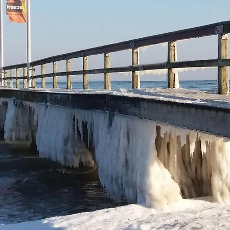 Baltic Sea Sweetheart *